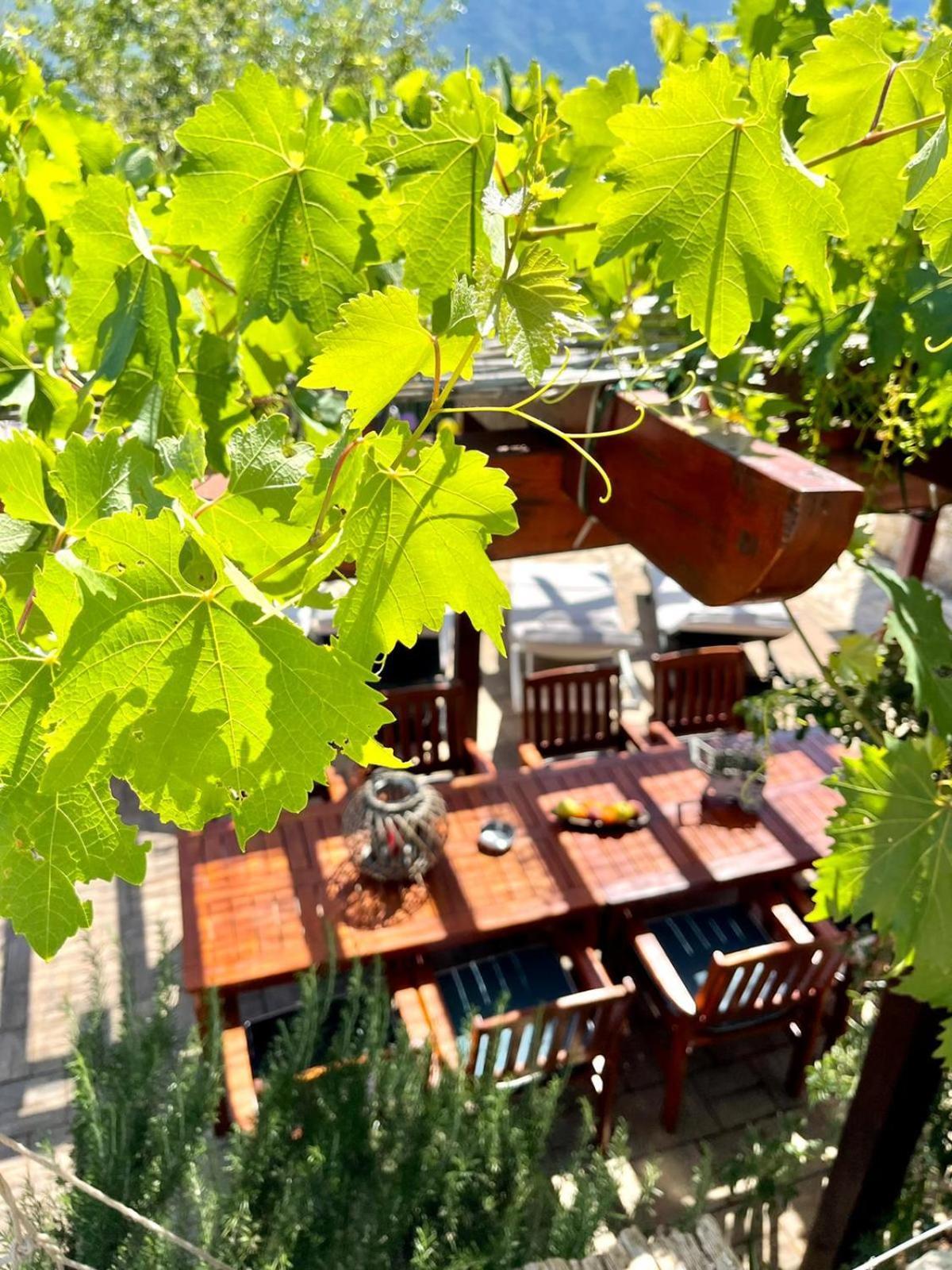 Villa Sagosde With Swimming Pool And Mini Golf Zagvozd Екстериор снимка